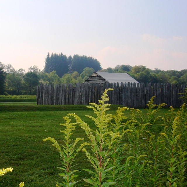 grasses in foreground in front of wooden fort in background