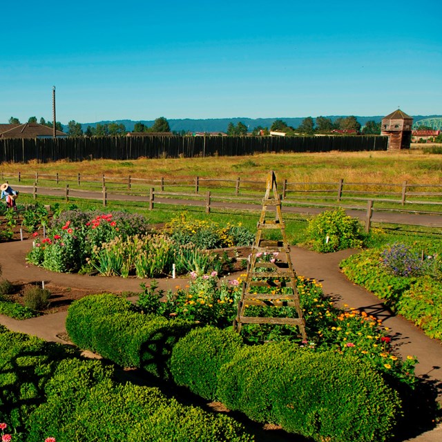 garden in front of wooden fort and blue sky