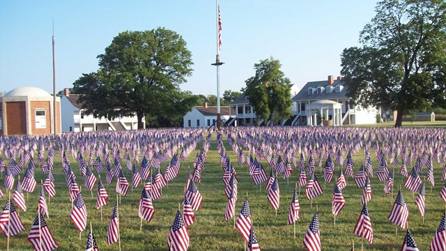 8,500 flags displayed across the Parade Ground with the flagpole, trees and buildings in background.