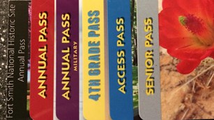6 different park passes