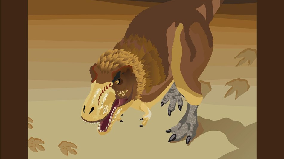 illustration of a dinosaur
