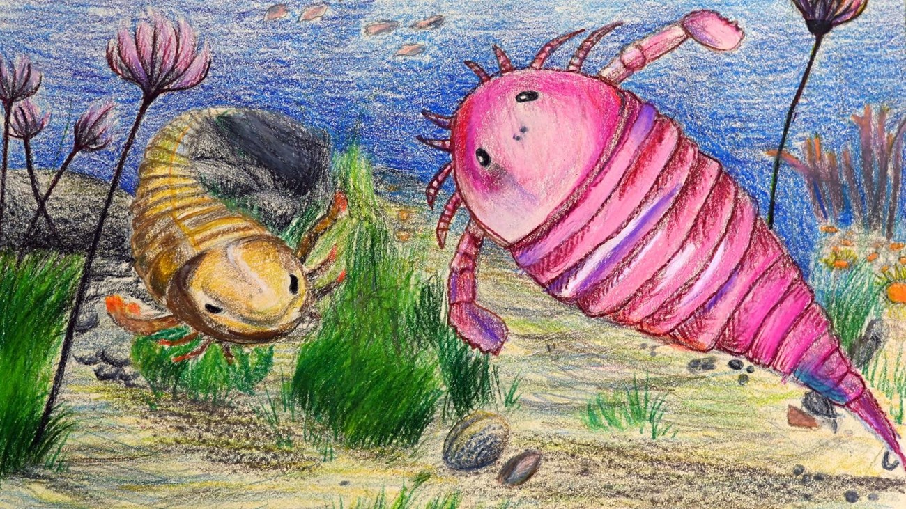 Color artwork of prehistoric life including plants and animals underwater.