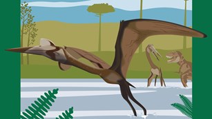 2018 National Fossil Day Artwork Quetzalcoatlus