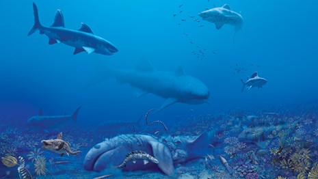mural of prehistoric sharks