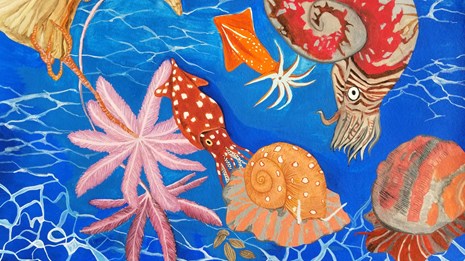 colorful drawing of prehistoric sea animals