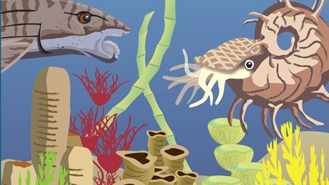National Fossil Day artwork with permian reef illustration