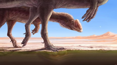 two dinosaurs walking across a dry lakebed