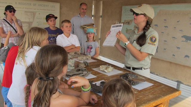 ranger-led group activity learning about fossils