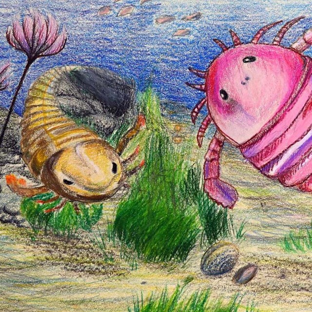 Color artwork of prehistoric life underwater.