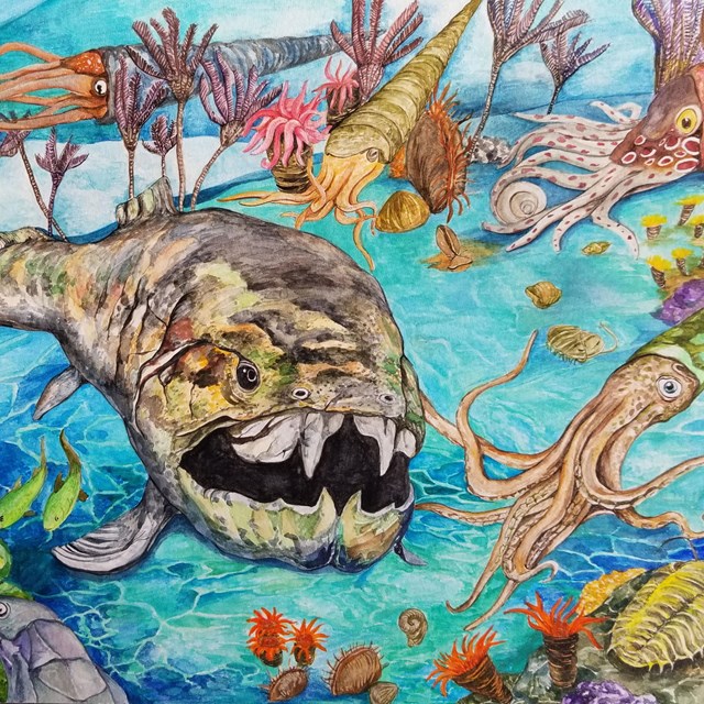 colorful drawing of prehistoric sea animals