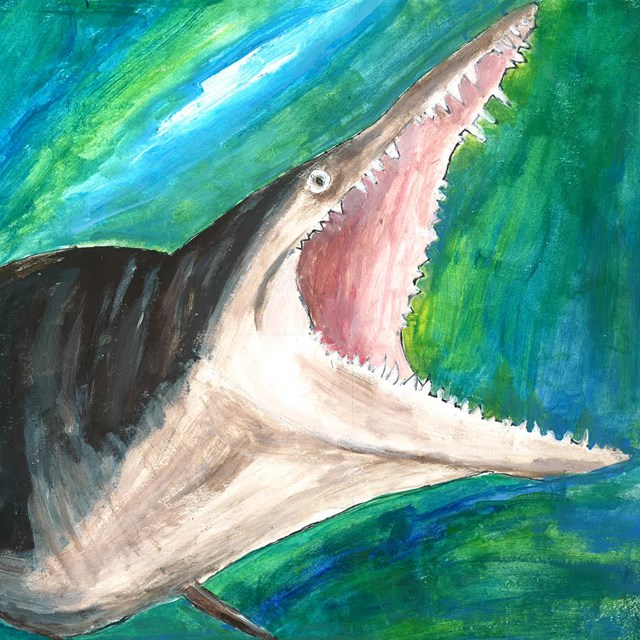 painting of prehistoric swimming reptile