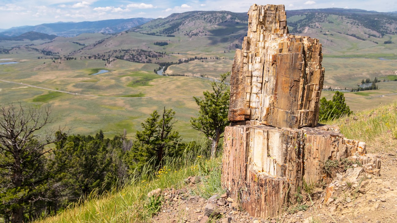 a fossilized stump of wood on the edge of a cliff that looks out on a green valley. 