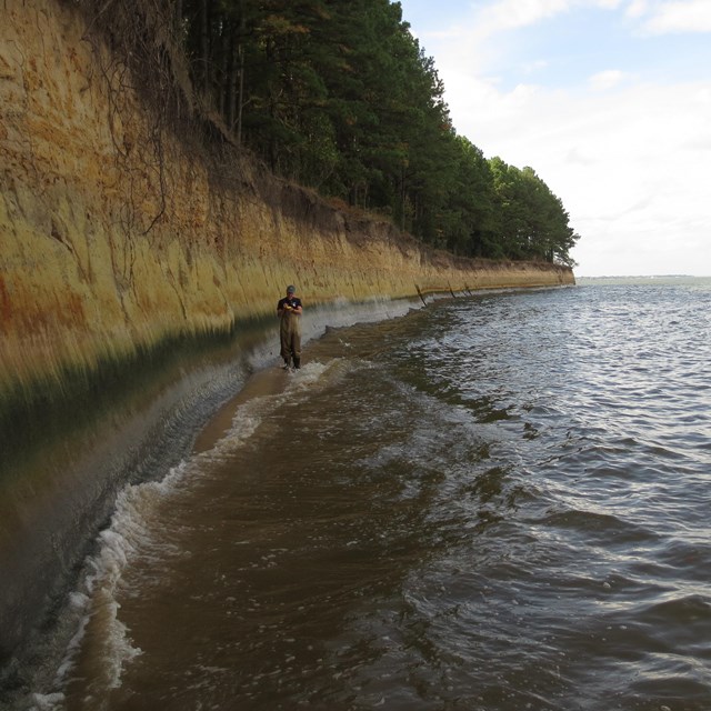 person walking through shallow water along a wave-cut bluff