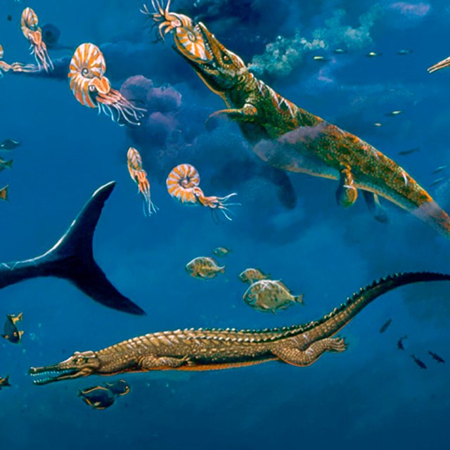 drawing of underwater cretaceous life