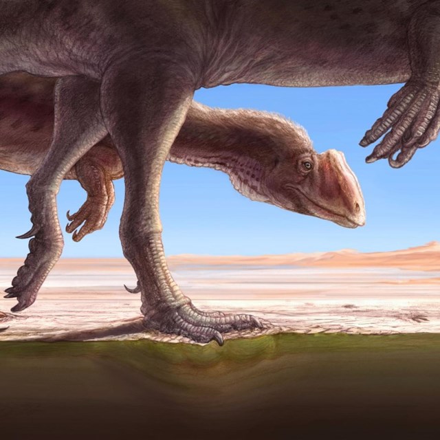 mural of two dinosaurs walking