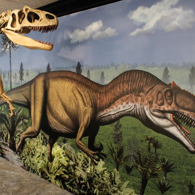 dinosaur exhibit with skeleton and mural