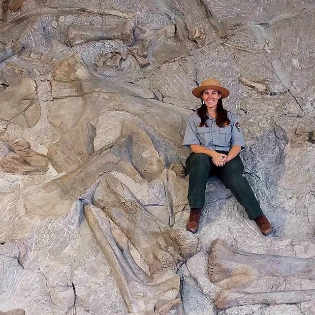 ranger sitting on the quarry wall among dinosaur bone fossils