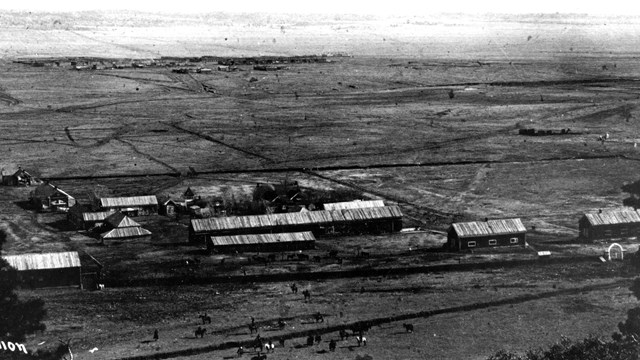 cluster of buildings seen from high point