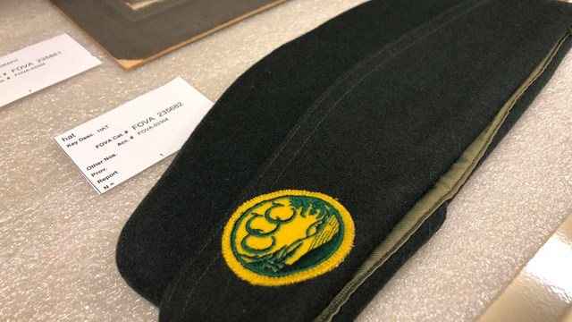 A photo of a collections storage drawer with a green CCC cap.