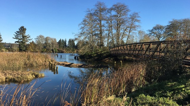 Blue sky above the Lewis and Clark River and bridge on the Netul River Trail.