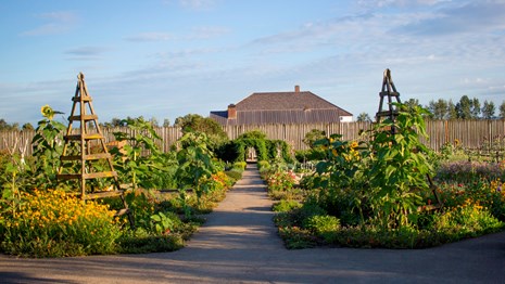 The garden in front of Fort Vancouver on a sunny day.