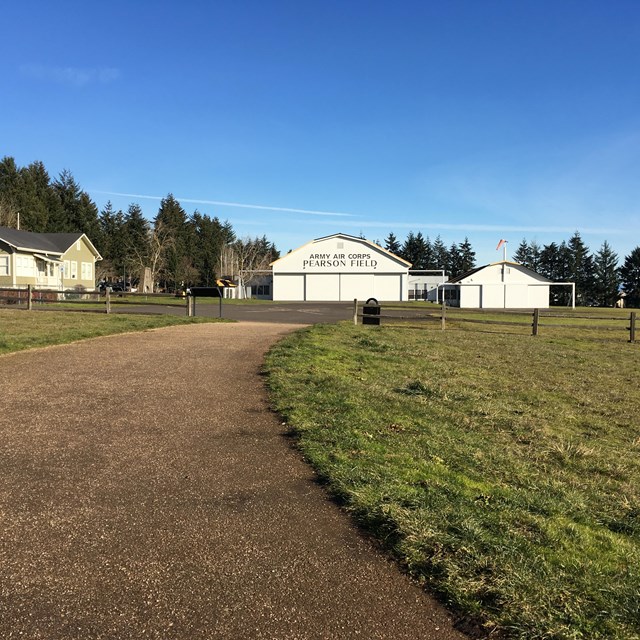 A meadow with lupines blooming on a sunny day. Pearson Air Museum is in the background.