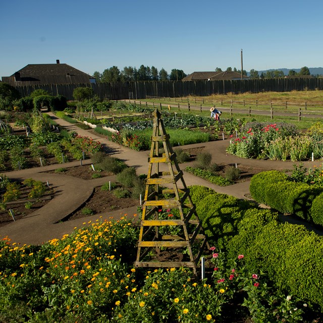 Fort Vancouver and its garden.