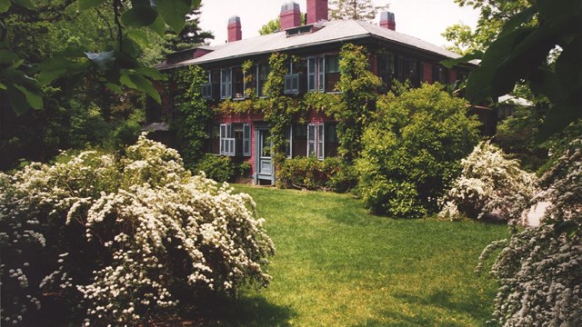 Large building with vines all around it with trees and grass in front. 