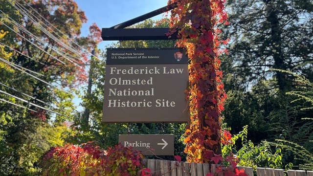 Red and yellow leaves wrapped around the NPS sign.