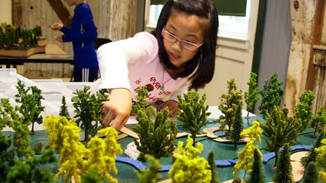 A student creating a model of a park