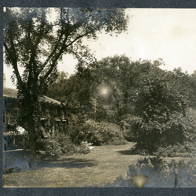 Black and white of large tree on grassy area in front of large house. 