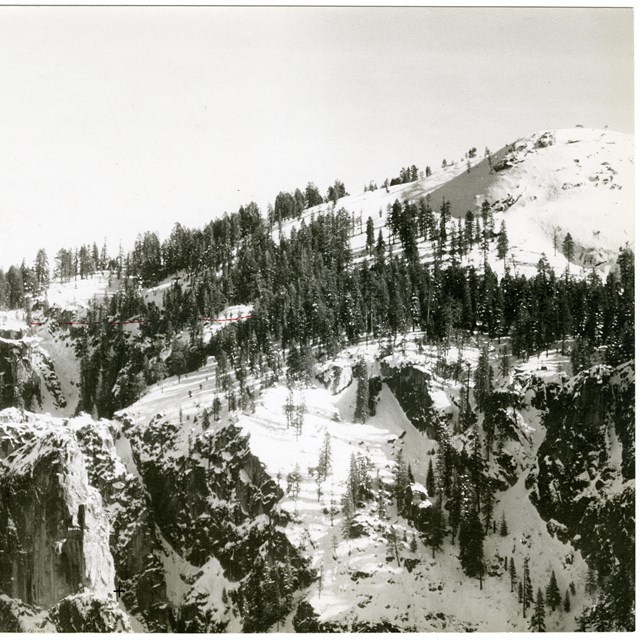 Snow capped mountain with trees on top