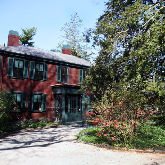 Maroon building with tree in front and dirt circle in front