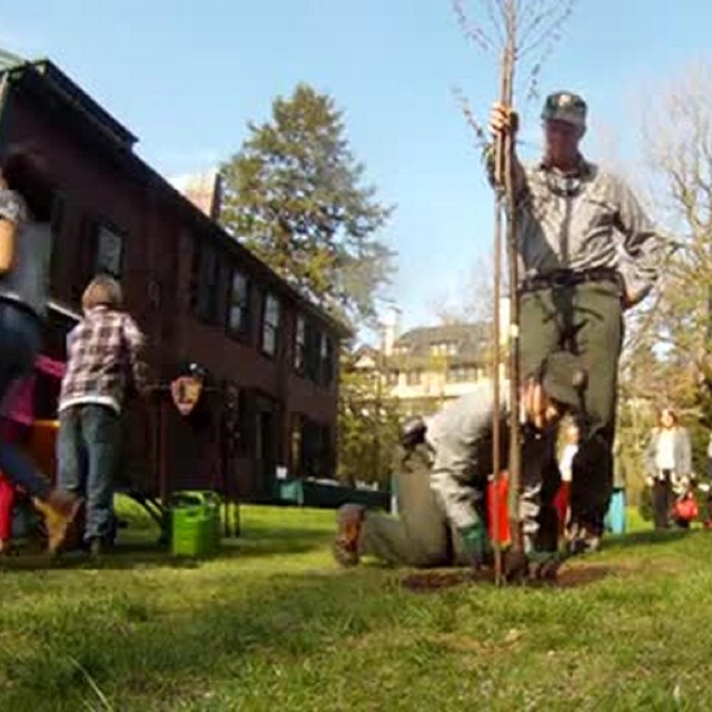 Ranger holds skinny tree in ground with group surrounding it and house on the other side. 