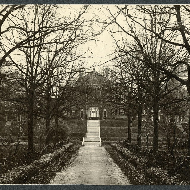 Black and white of dirt road cutting through grassy area lined with trees with building at the end. 