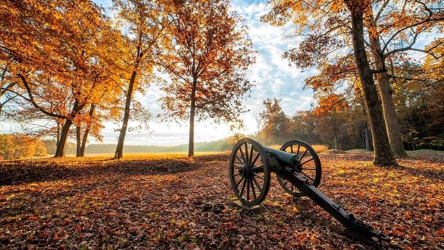 Cannon among fall leaves at Saunders Field on the Wilderness Battlefield 