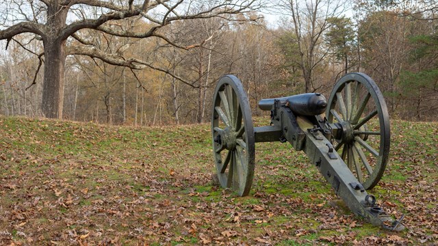 A cannon pointed into an open field.