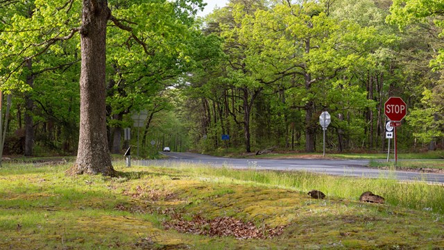 An road intersection paralleling earthworks.