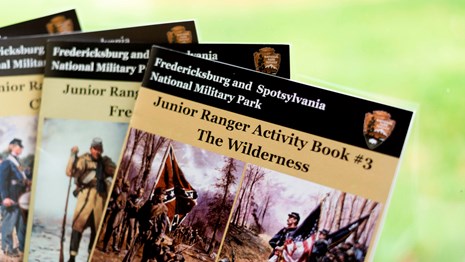 A color photograph of four books an a fan formation in front of a green background.