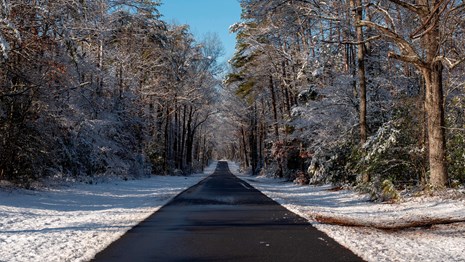 A paved road on a sunny winter day.