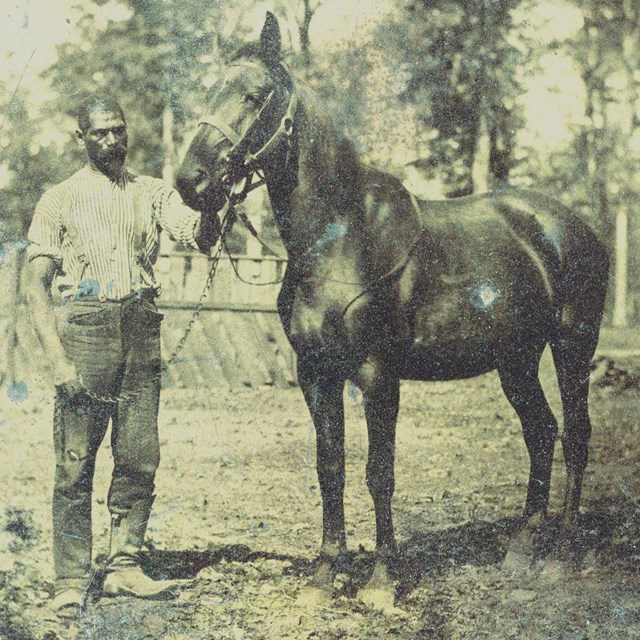 A historical photo of a black man in his 30s or 40s holding the reins of a horse.