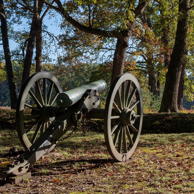 A cannon in fall in a field.
