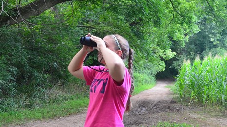 A girl in a bright pink shirt and blue jeans looks up through the trees using binoculars.