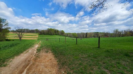 A agricultural field lines the left side of a trail and a horse pasture is on the right. 