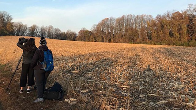 Two people film the sunrise over a field. 