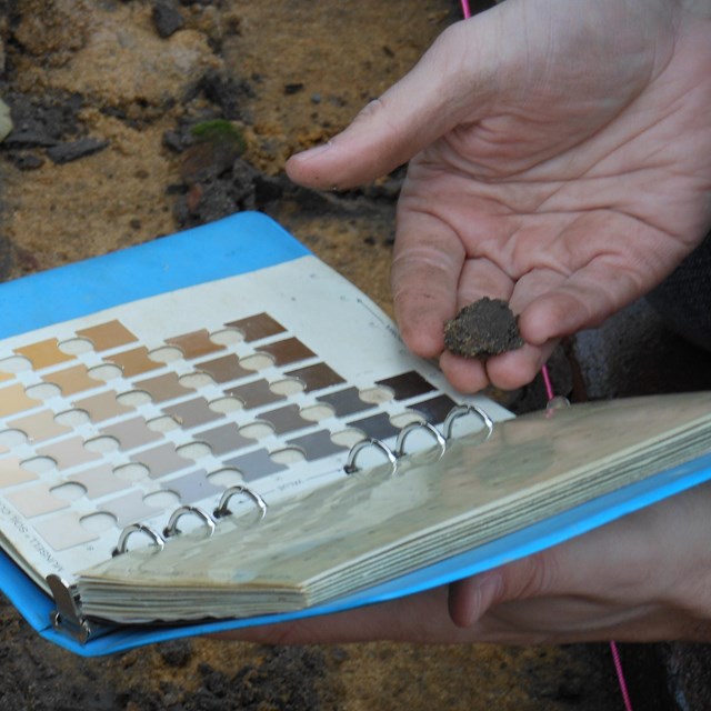 A person tries to identify the type of soil they are holding. 