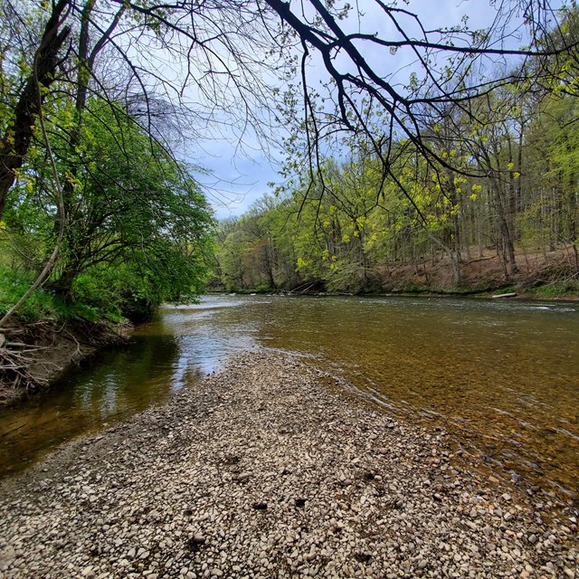 The Brandywine Creek flowing on a sunny day with green vegitation on either side.