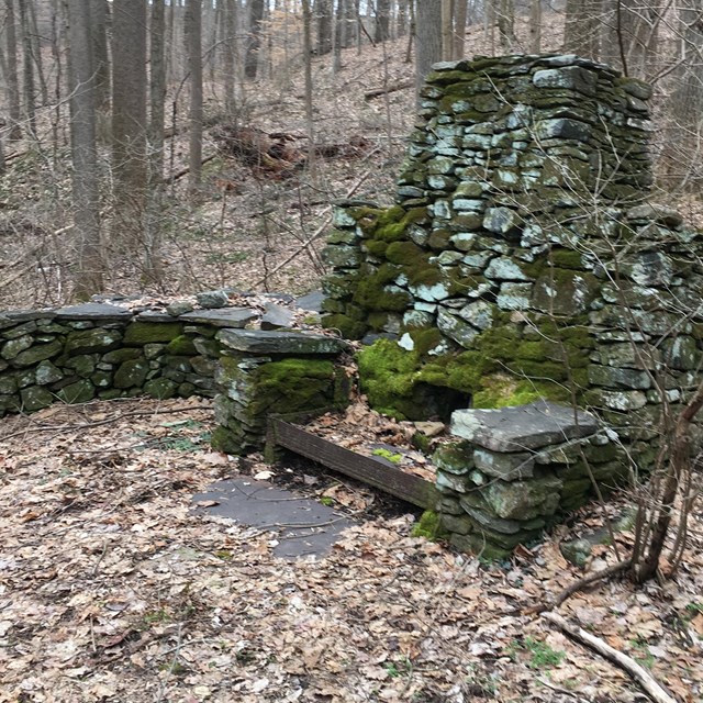 A photograph of ruins of a hearth in the a forest.