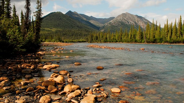 Mountains rise above black spruce forest and the North Fork Koyukuk River