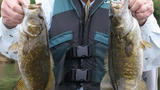 Fisherman holding 2 fish on the Gauley River.